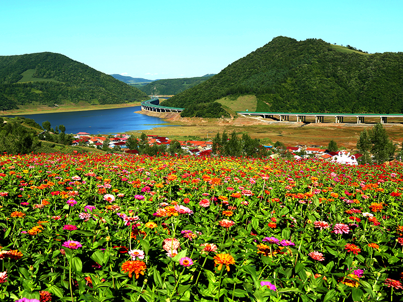 白山湖景區夏景